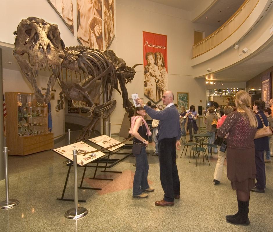 Journey museum, fossils