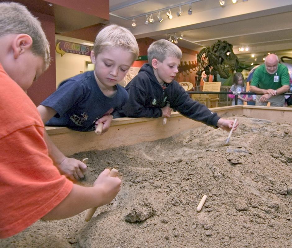 Washington Pavilion, fossils