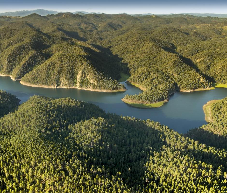 Black Hills National Forest