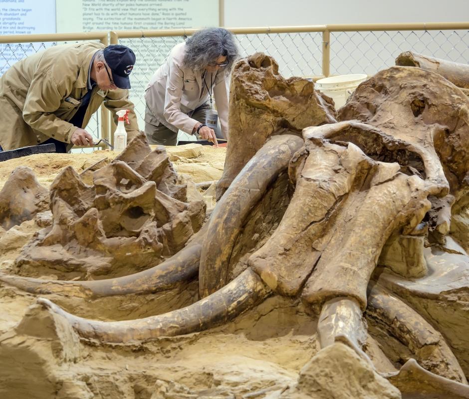 The Mammoth Site, Hot Springs