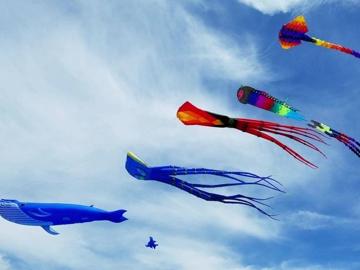 Brookings Kite Festival, Brookings
