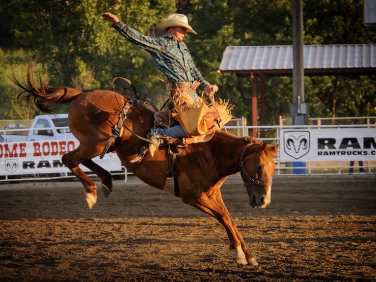 Rodeo