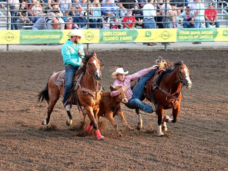 Corn Palace Stampede Rodeo, Mitchell