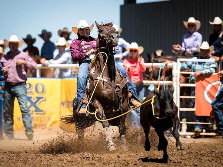 Black Hills Roundup, Belle Fourche