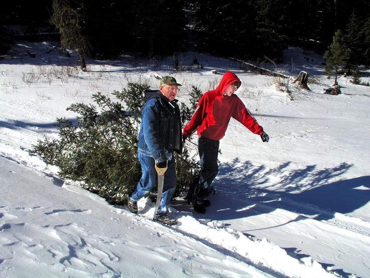 Black Hills Christmas Tree Permit Season