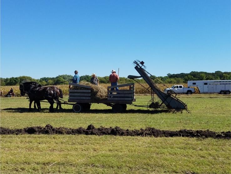 Homesteader Day Harvest Festival at Beaver Creek Nature Area