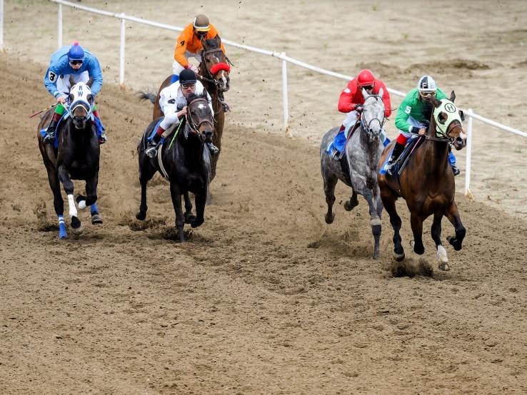 Horse Racing, Fort Pierre