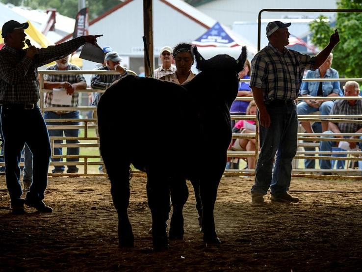Turner County Fair Travel South Dakota
