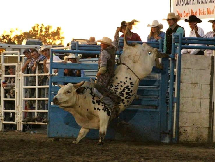 Irene Rodeo, Irene