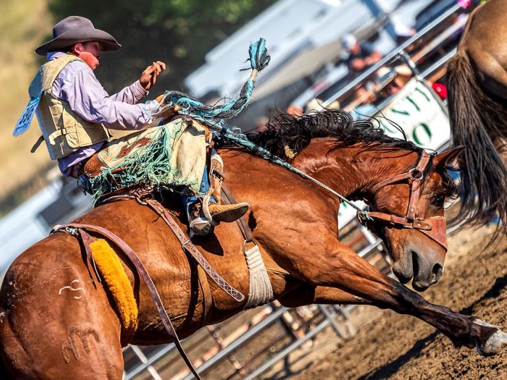rodeo in South Dakota