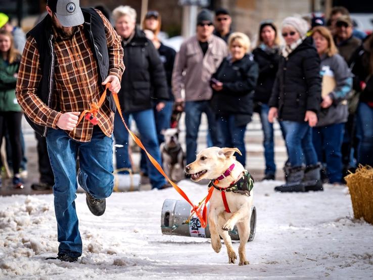 K9 Keg Pull, Deadwood