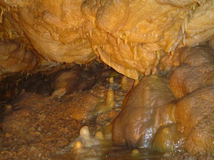 Cave Bacon
