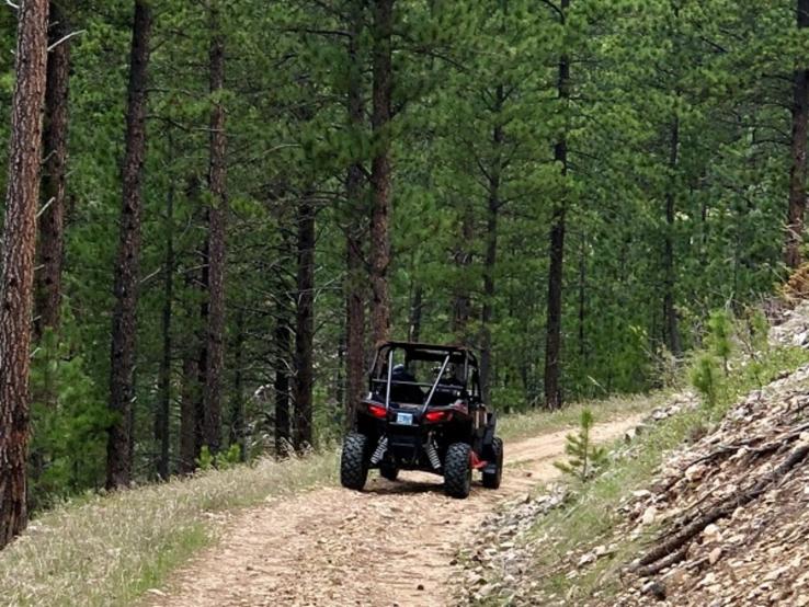 Mad Mountain Adventures, Lead