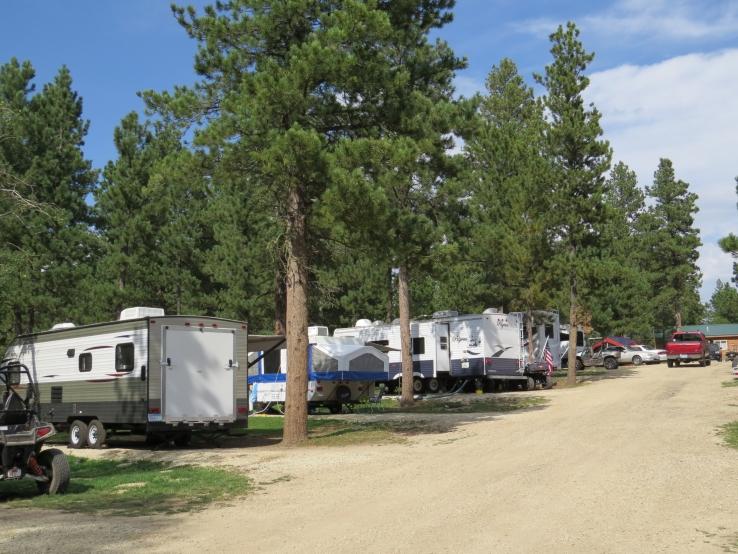 Tree Covered RV Sites