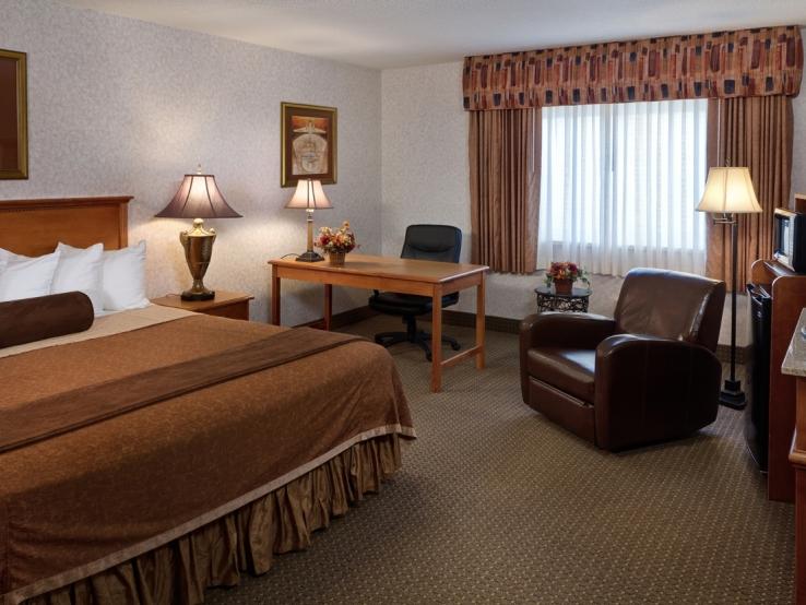 Standard King Guestroom