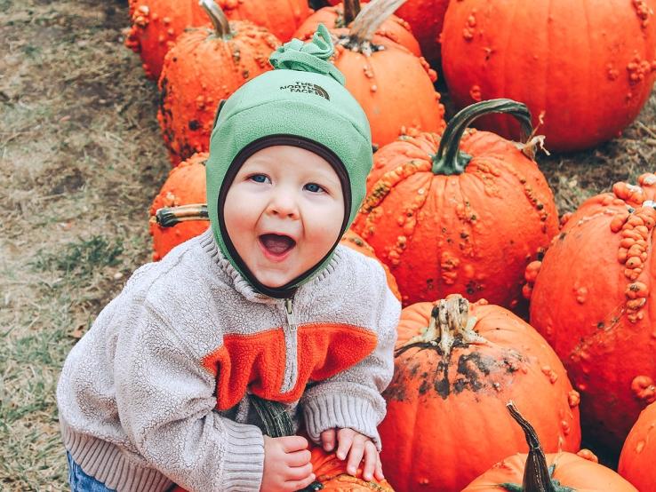 Mazing Acres Pumpkin Patch, Yankton