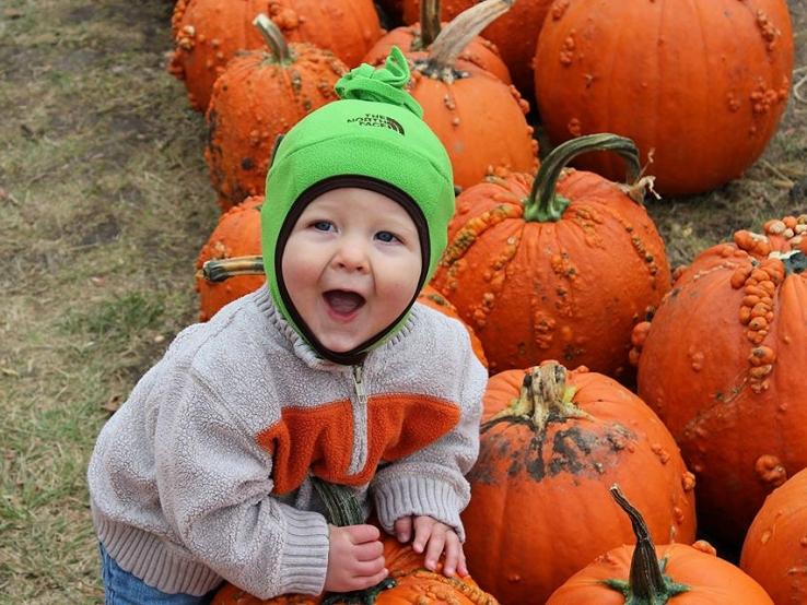 Mazing Acres Pumpkin Patch, Yankton