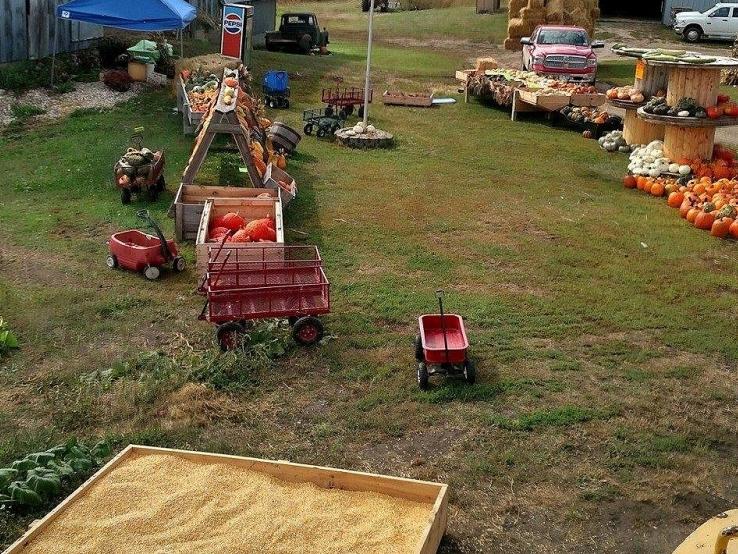 Big Stone Pumpkin Patch, Big Stone City