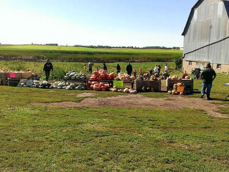 Big Stone Pumpkin Patch, Big Stone City