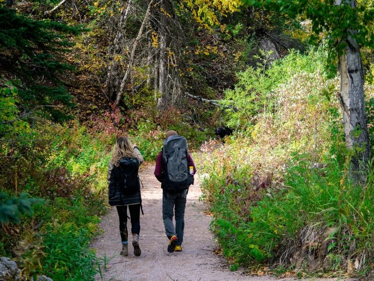 Spearfish Canyon State Nature Area, near Lead