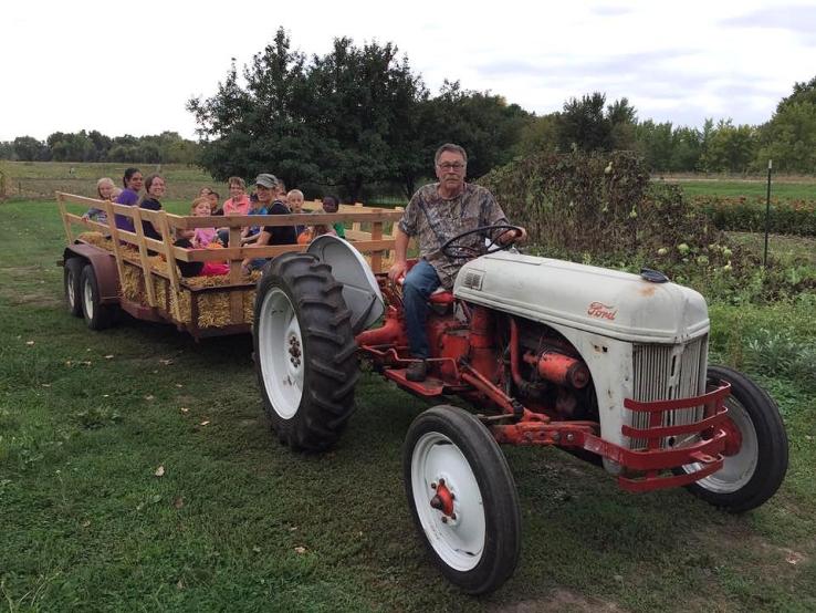 Cherry Rock Farms, Brandon