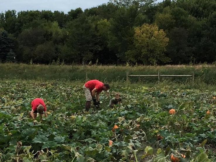 Cherry Rock Farms, Brandon