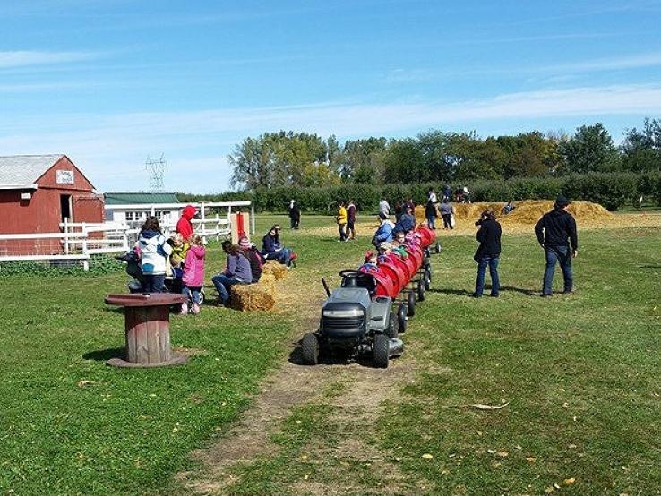 Country Apple Orchard, Harrisburg