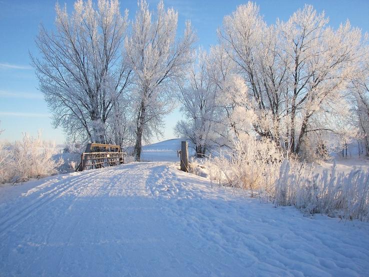 Dakota Nature Park, Brookings