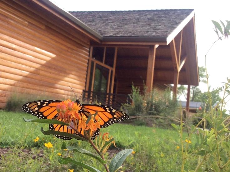 Larson Nature Center, Brookings