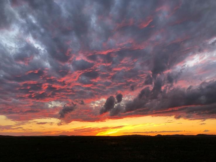 McGuigan Farm Experience, Spearfish