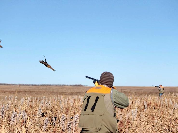 R&R Pheasant Hunting, Seneca