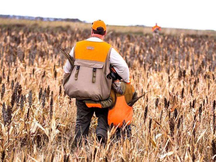 R&R Pheasant Hunting, Seneca