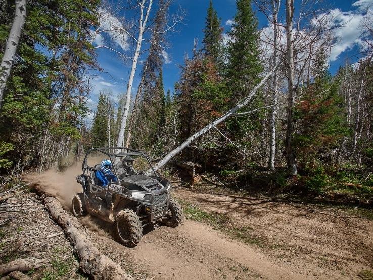 Adventure Rentals, Custer