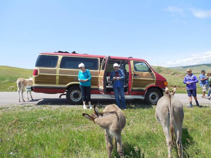 Black Hills Open-Top-Tours, Rapid City