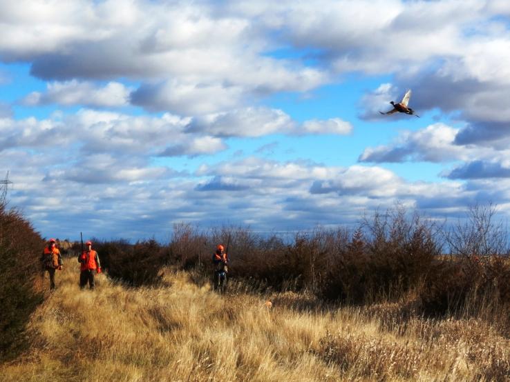Hunting Tradition