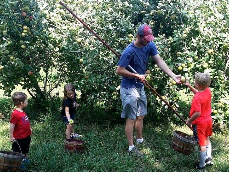 Hoversten Orchard, Brandon