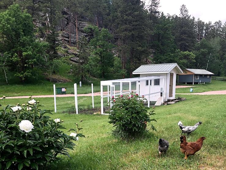 Hinterwood Inn & Cabins, Keystone