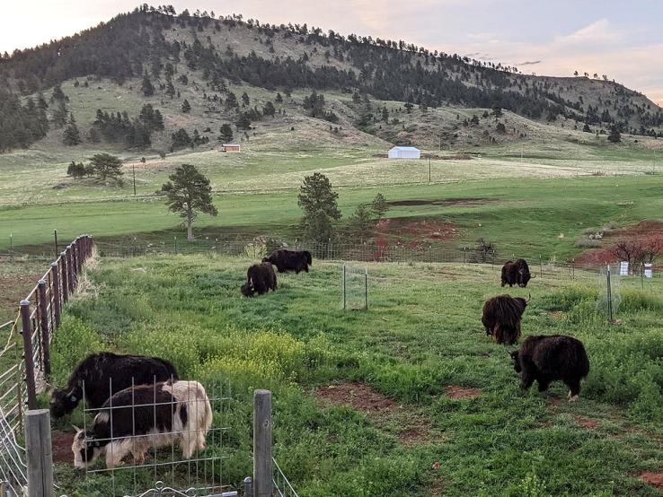 Serendipity Farmstead, Hot Springs