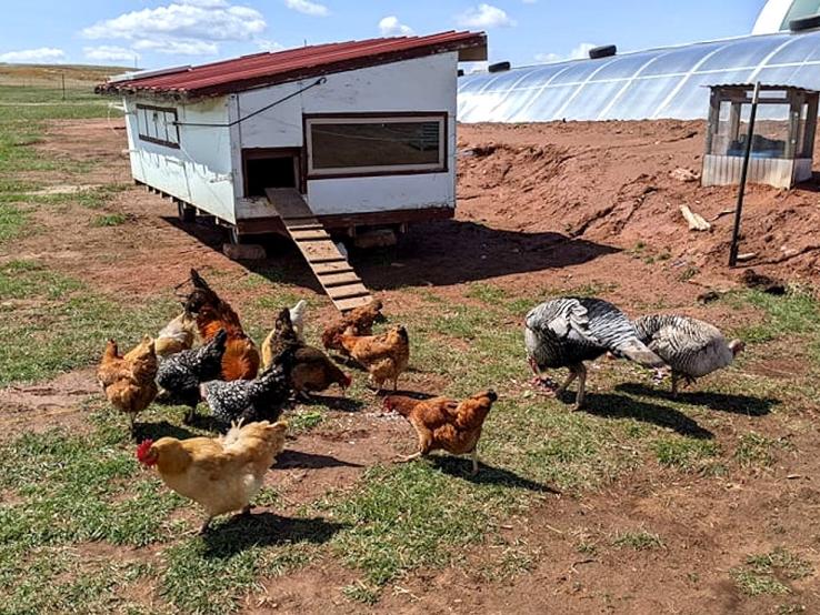 Serendipity Farmstead, Hot Springs