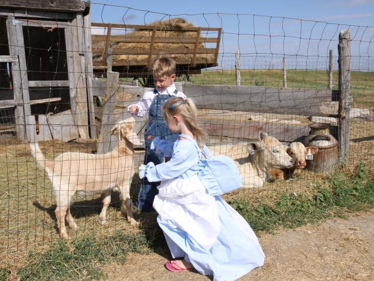 Prairie Homestead Badlands SD