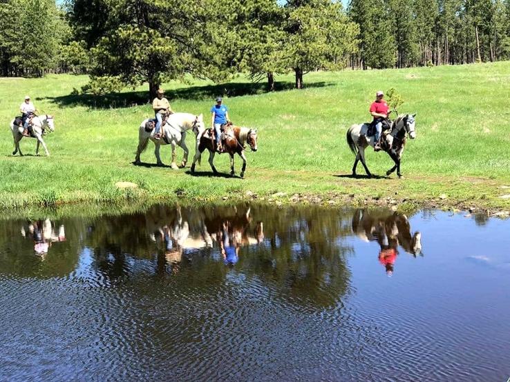 Broken Arrow Horse Camp, Custer