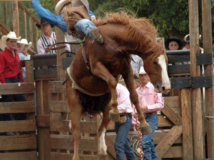 Days of 76 Rodeo