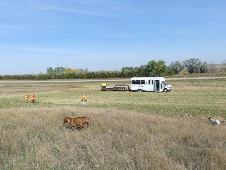 Broken Arrow Farms, Pierre