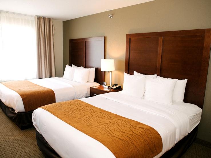 Comfort Inn & Suites, Custer
