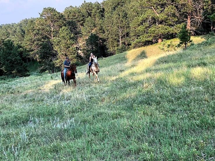 Woodland Ranch & Resort, Allen