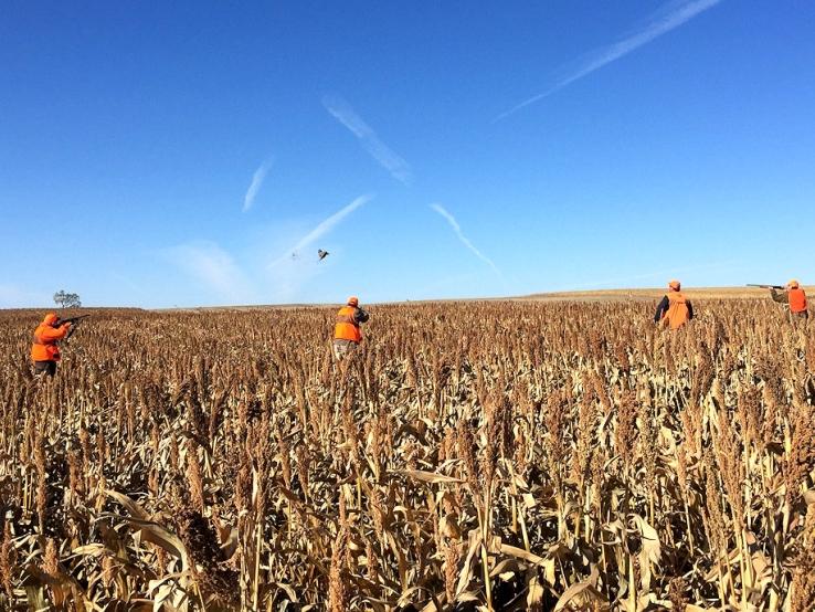 Hills View Hunts, Eureka