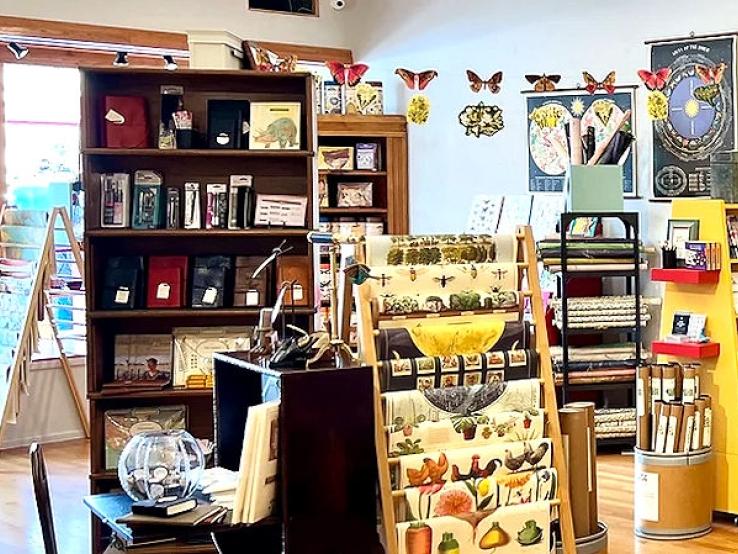 Art House, Rapid City