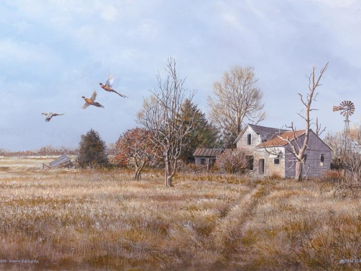 The Faulkton Pheasant Camp