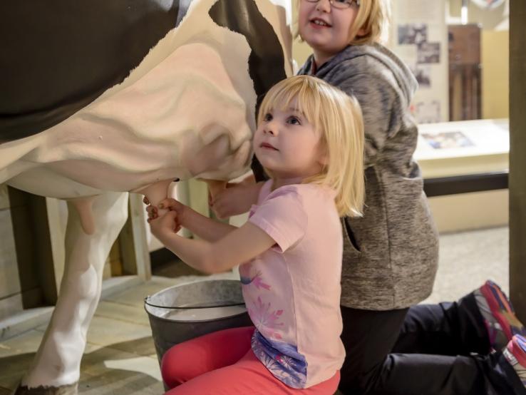 Milking the Cow