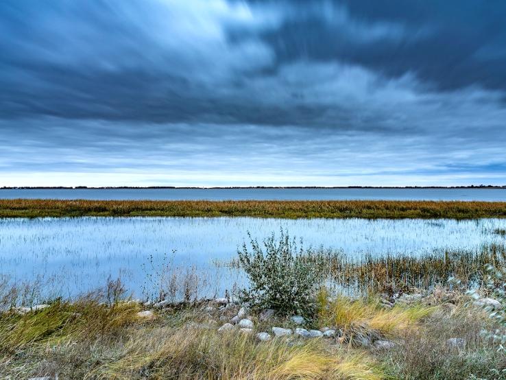 Sand Lake National Wildlife Refuge, Columbia